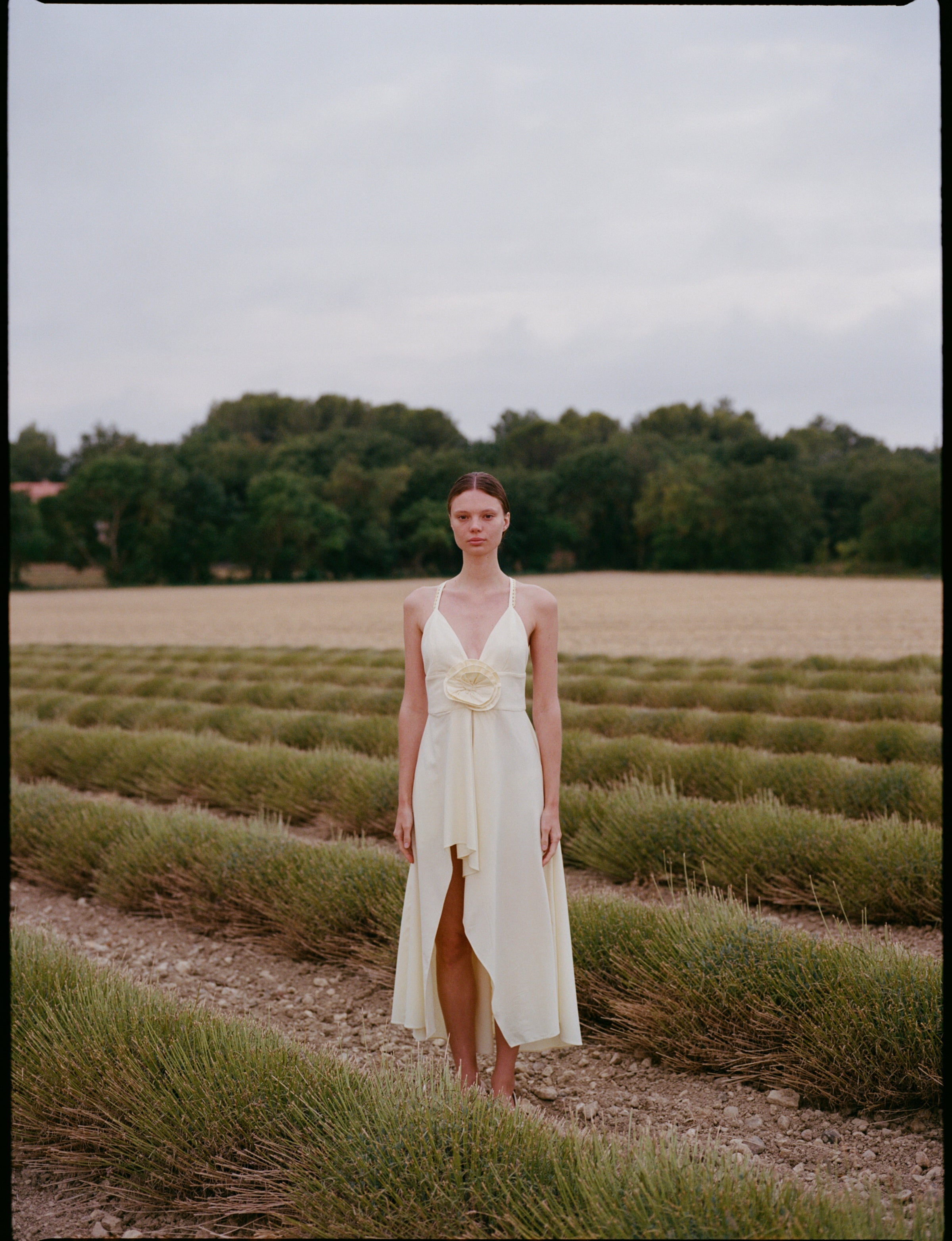 Cala Dress cream