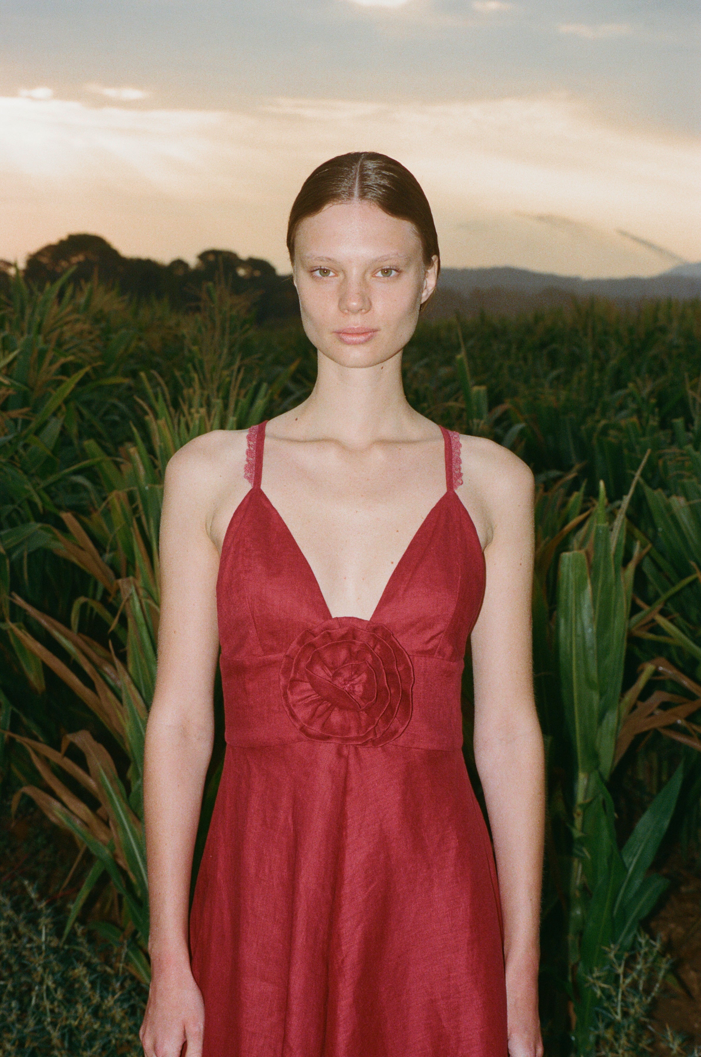 Cala Dress bordeaux
