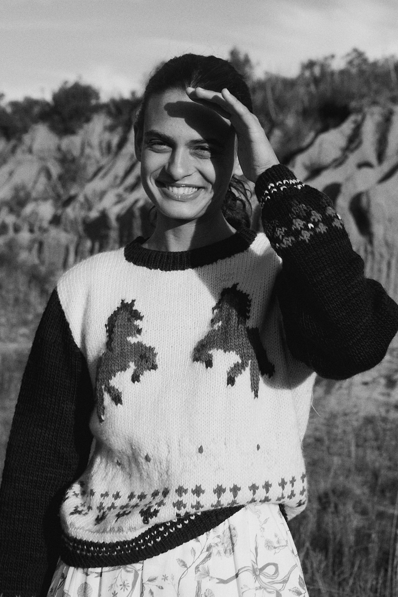 Cumbre Sweater brown